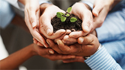 手机号测压网站